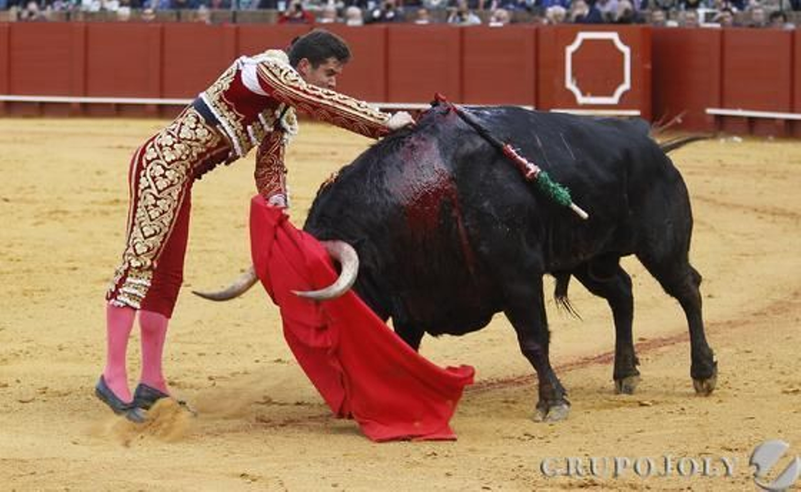 Daniel Luque. / Antonio Pizarro