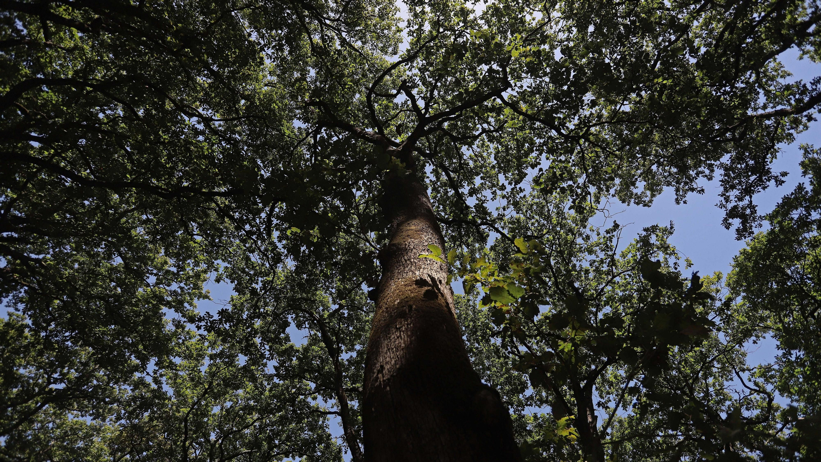 Las mejores fotos de la Montera del Torero y Valdeinfierno
