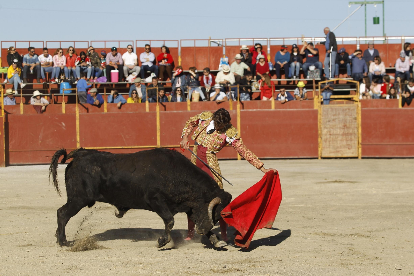 Fotogalería Novillada Fiestas de Abrucena