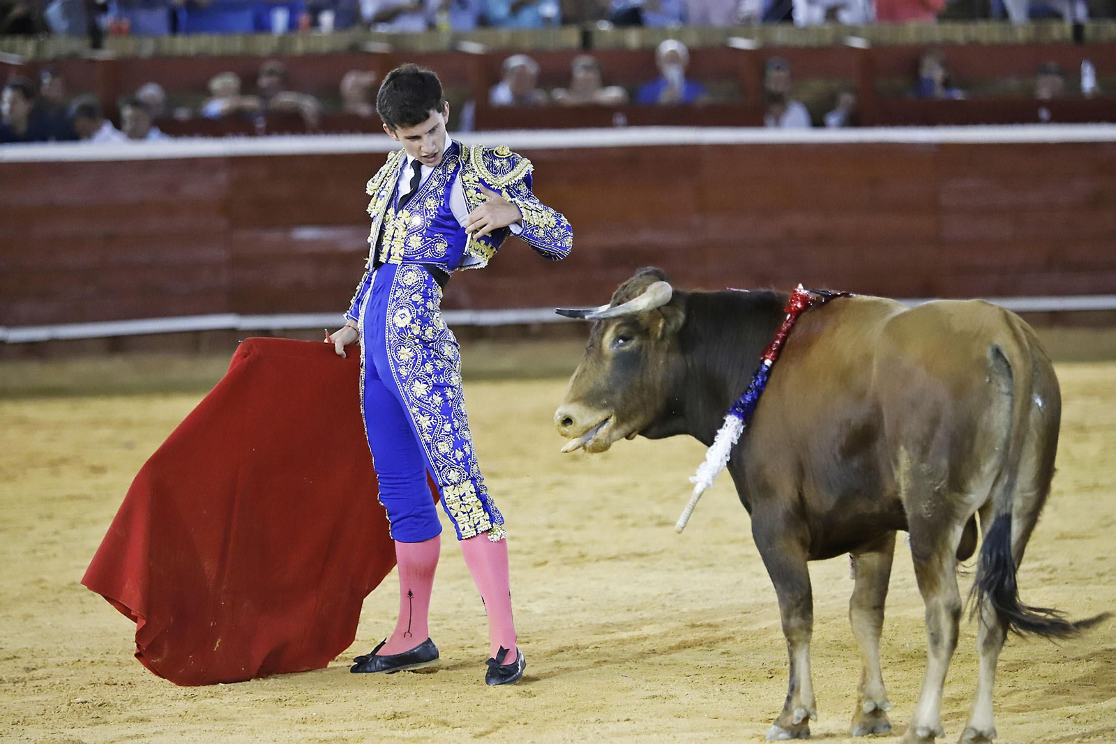 COLOMBINAS 2023: Festejo del miércoles de la Feria Taurina