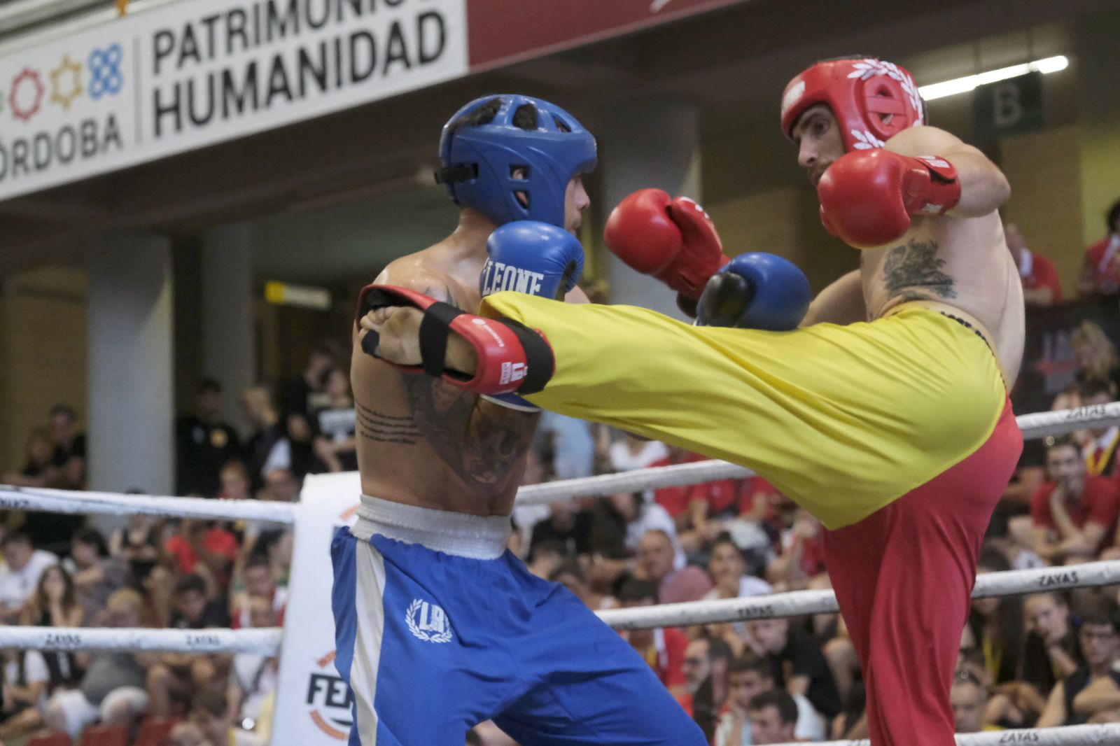 Córdoba disfruta del Campeonato de España de kick boxing, en imágenes