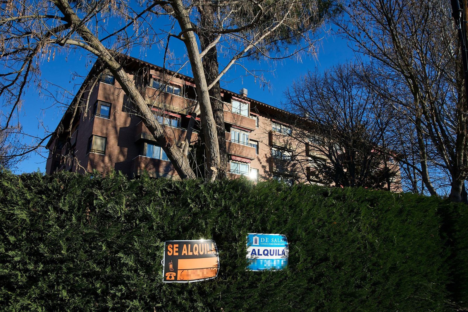 Carteles de alquiler en un edificio de viviendas.