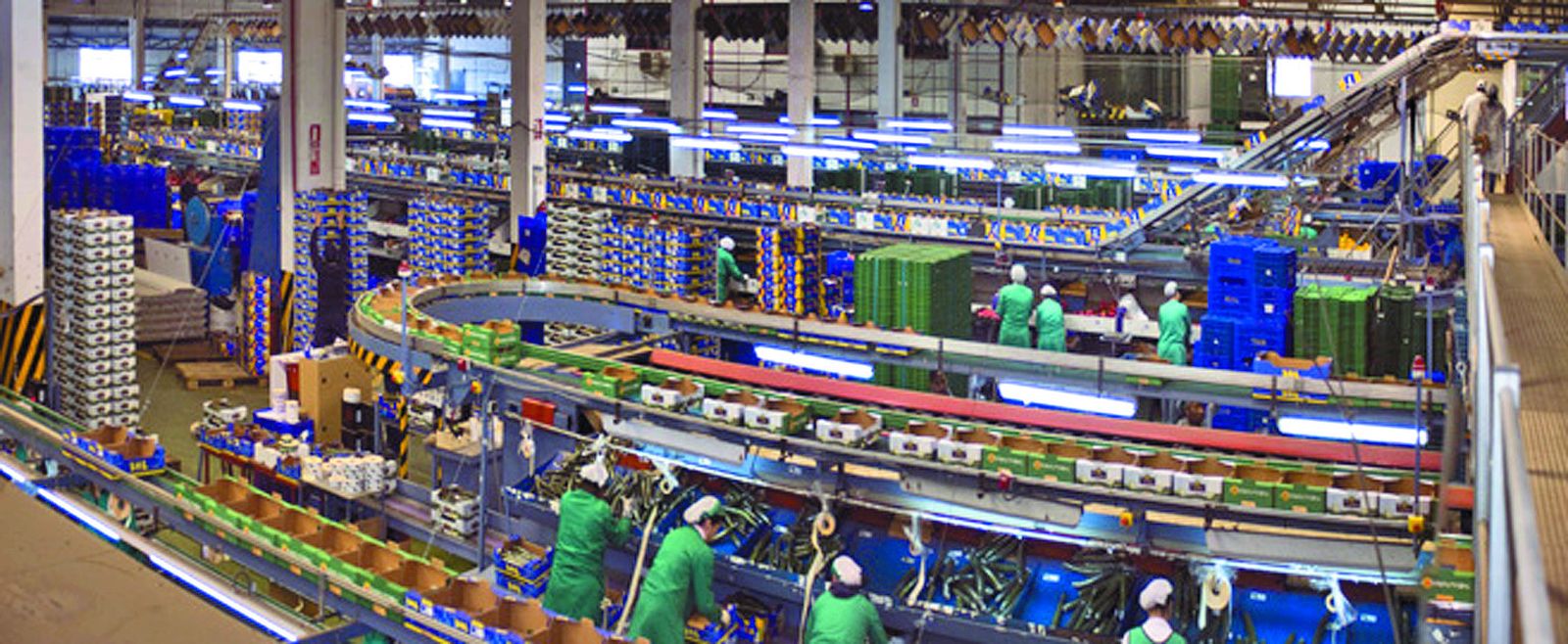 Imagen de la cooperativa Canalex