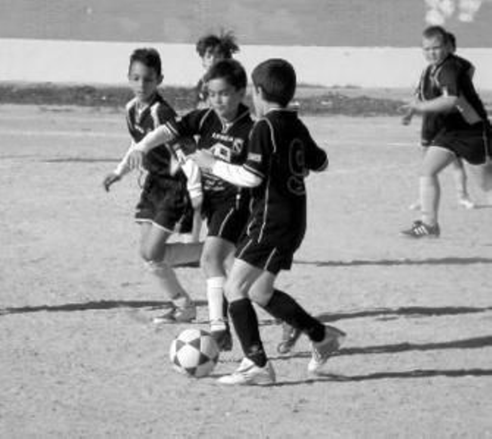 Los chavales de Salesianos y Los Rosales serán homenajeados.