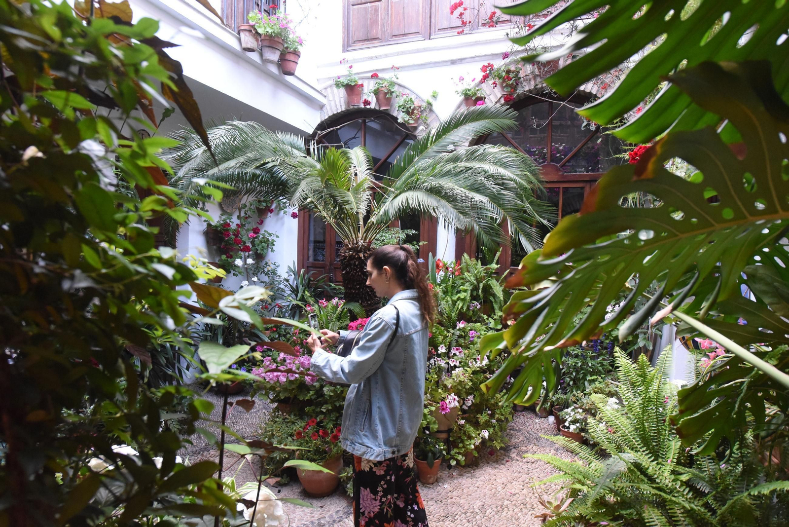 Una ruta en imágenes por los patios de la Judería y San Francisco