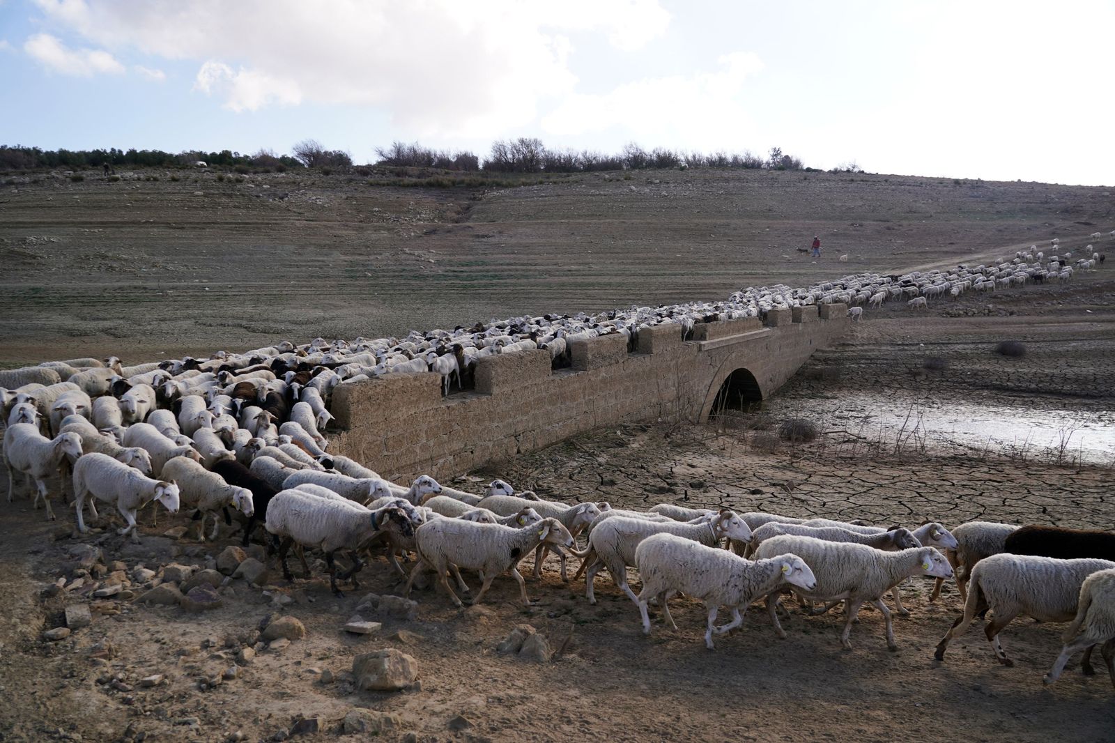 Los efectos de la sequía en el pantano de Guadalteba, en fotos