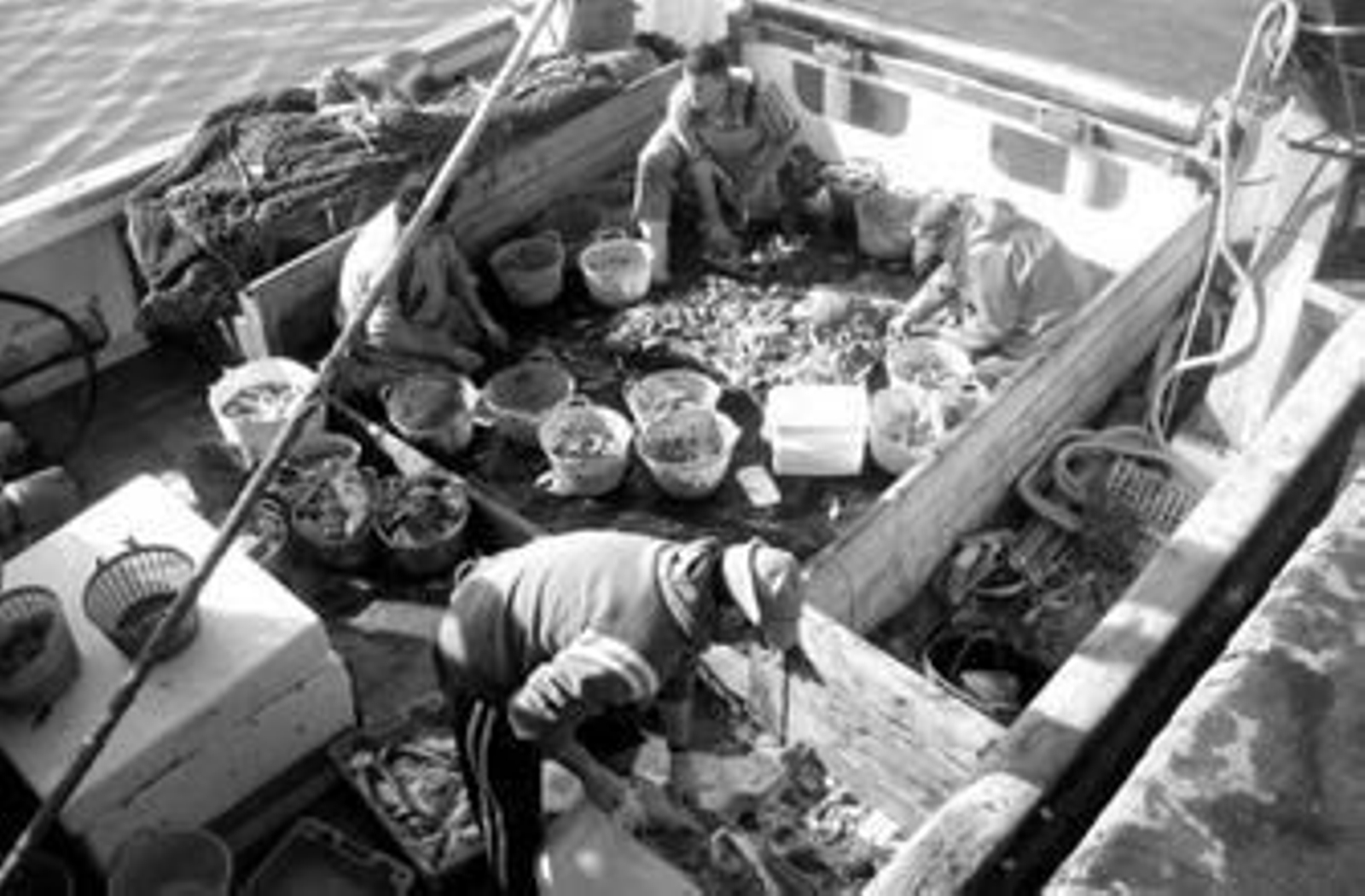 Un barco arrastrero, a su llegada ayer al puerto de Isla Cristina.