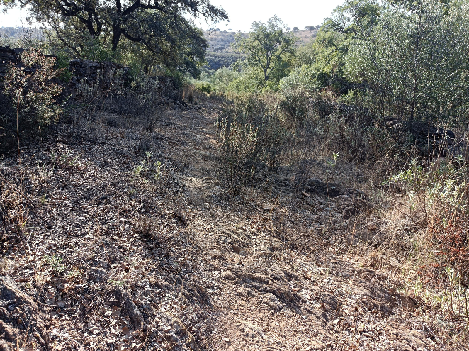 El sendero se hace algo más abrupto, pasando a un lado y otro de un arroyo. Hay que fijarse en los postes del PR.