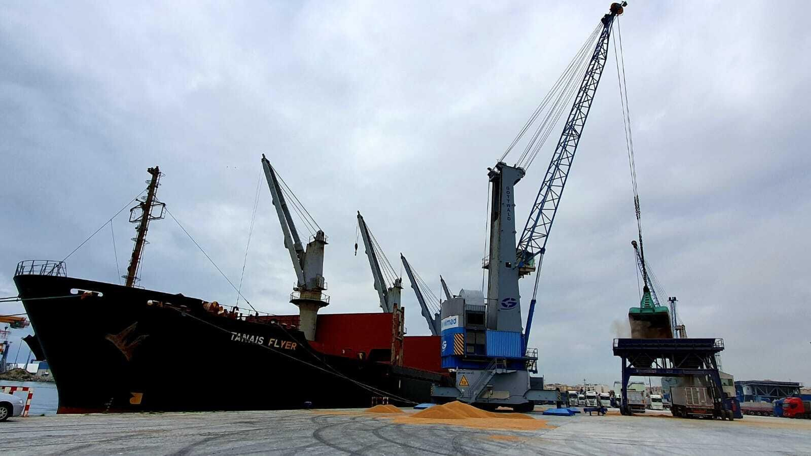 Descarga de trigo en el puerto de Málaga.