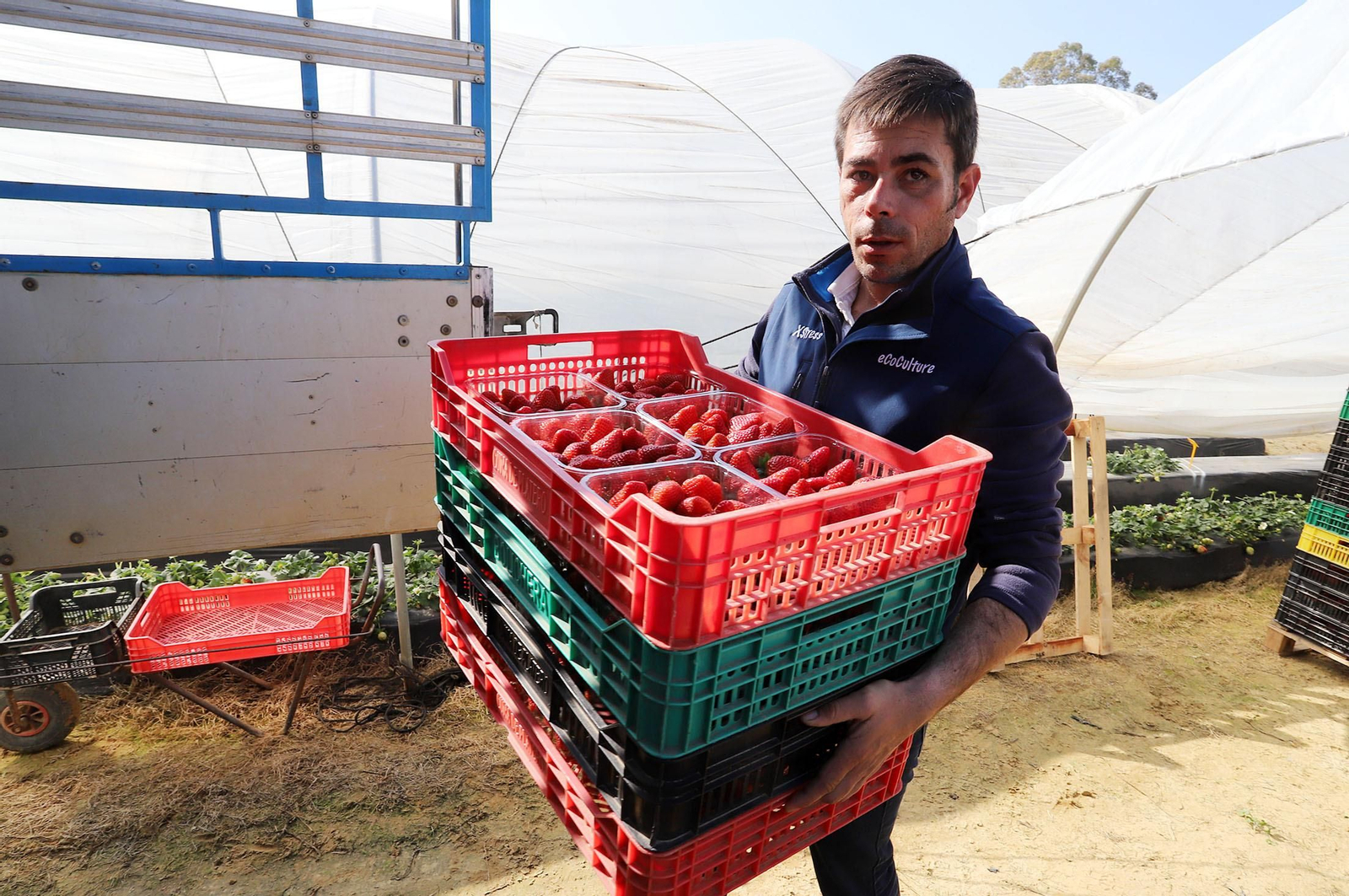 La realidad del campo onubense