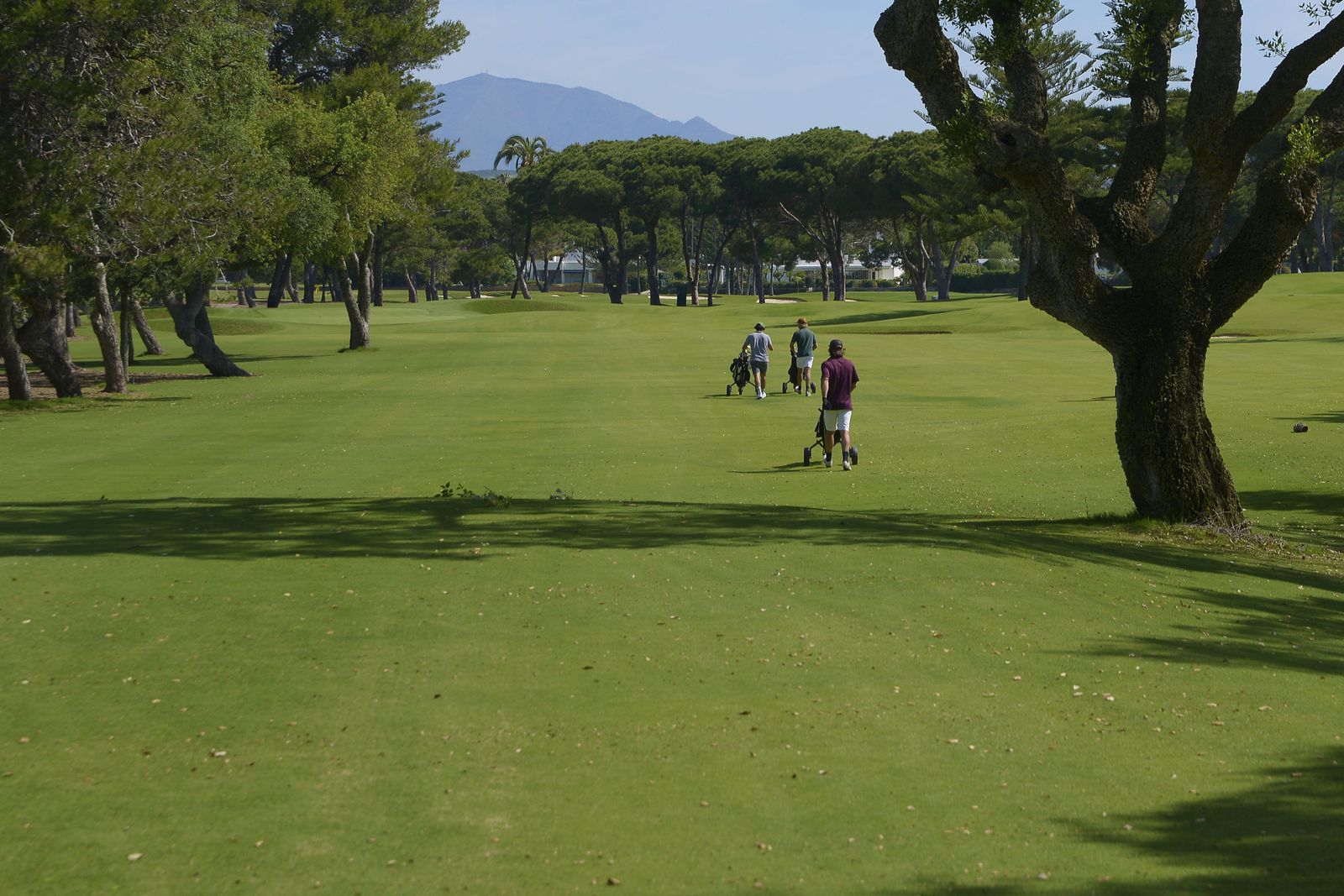 Fotos de la vuelta a la normalidad en los campos de golf de Sotogrande