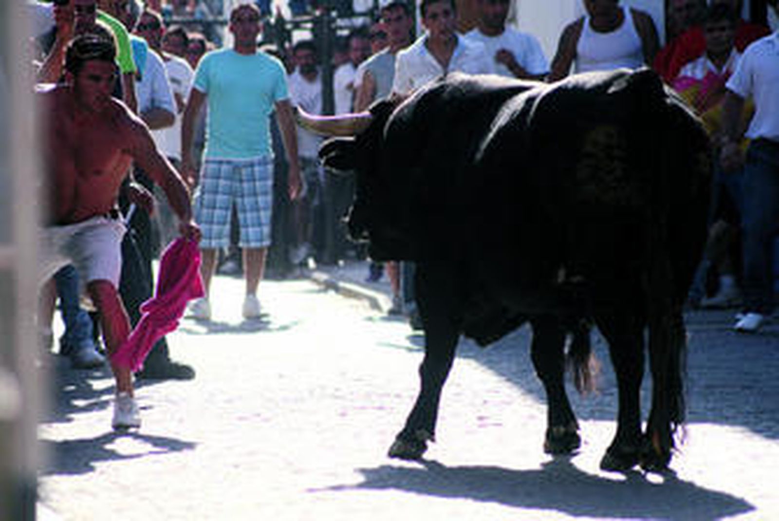 Mucha espectación ante la primera suelta de los toros.