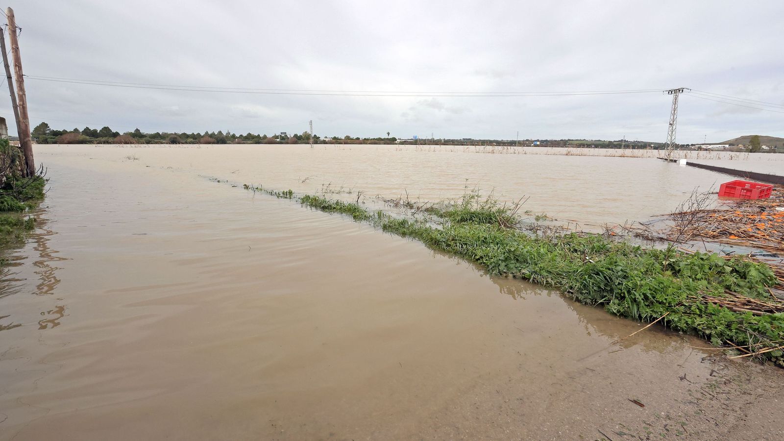 El Guadalete comienza a bajar su nivel poco a poco por la zona rural de Jerez