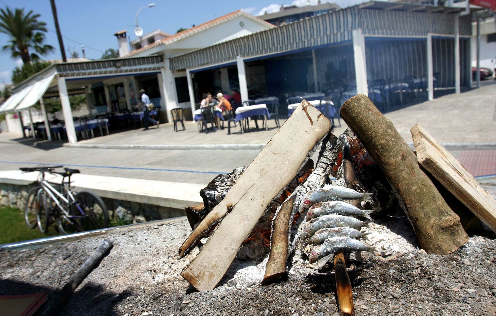Todavía estamos en un mes con R, pero ya podemos comer un buen espeto de sardinas.