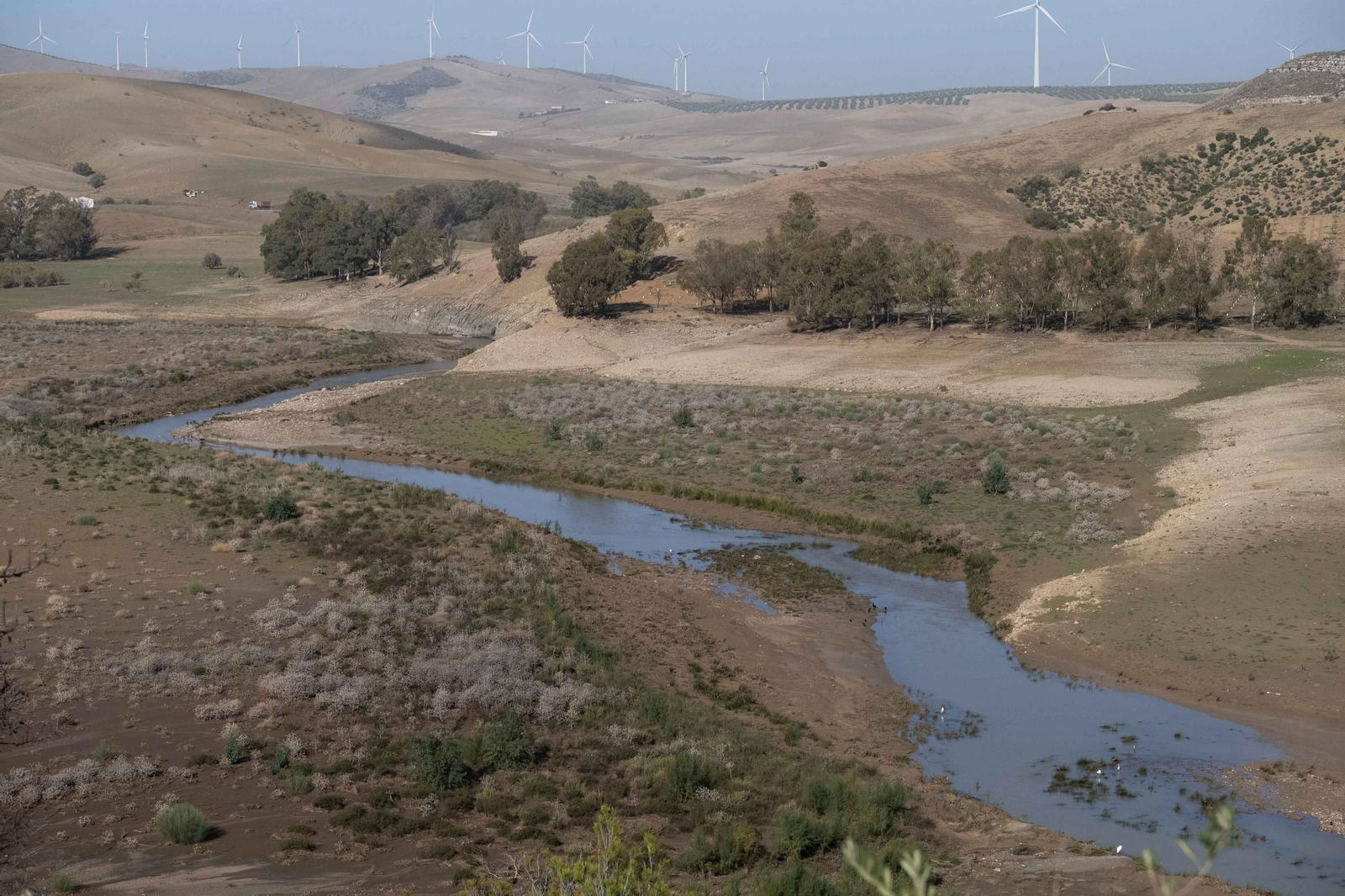 Los pantanos de Málaga, en fotos