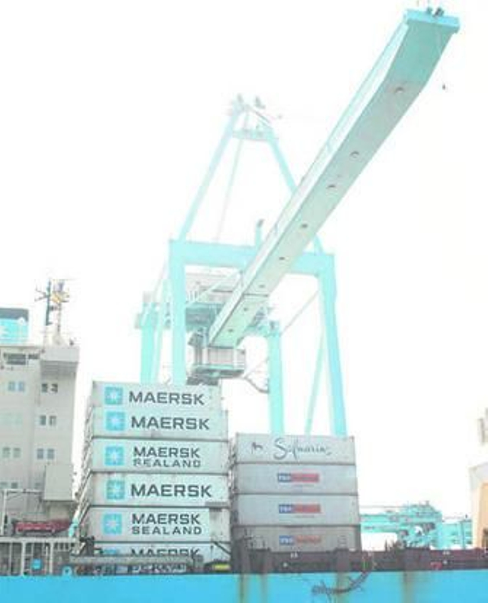 Una grúa de APM Terminals Algeciras realiza operaciones en una imagen de archivo.