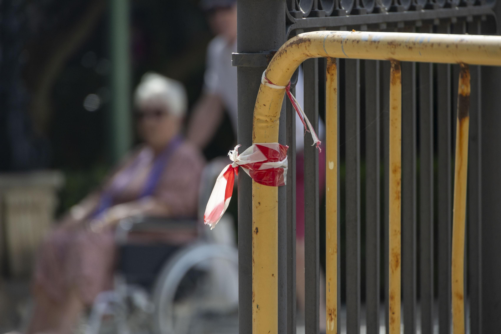 Las imágenes del mal estado de los paseos de Cádiz
