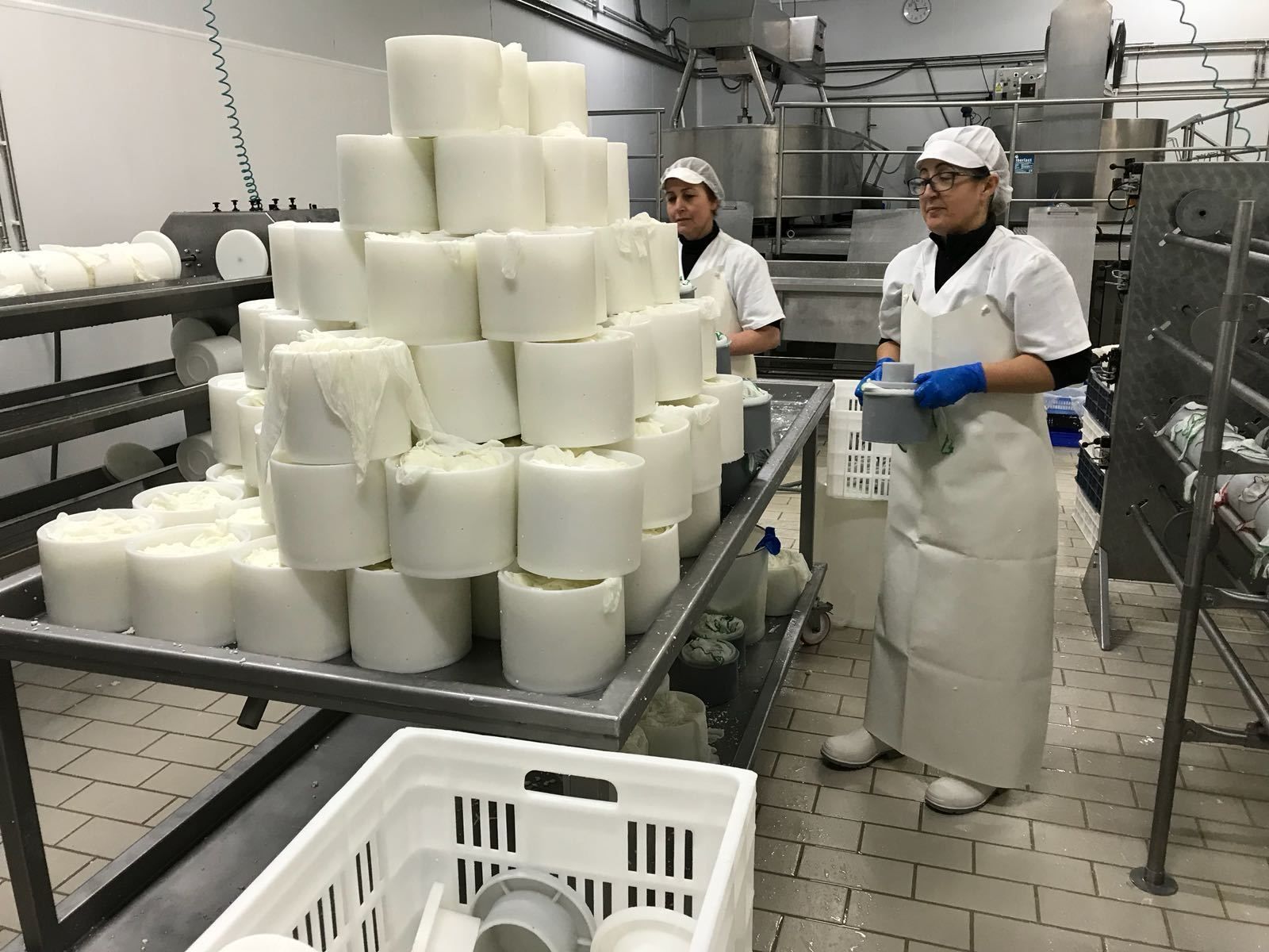 Proceso de elaboración de los productos de Quesos de Monteagud.