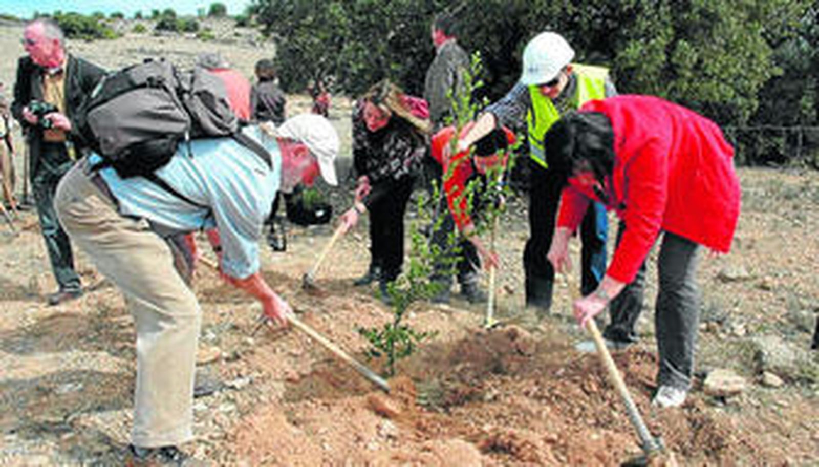 Varios alemanes plantan árboles en el Parque Natural Sierra María-Los Vélez durante su visita a la comarca en el año 2008.