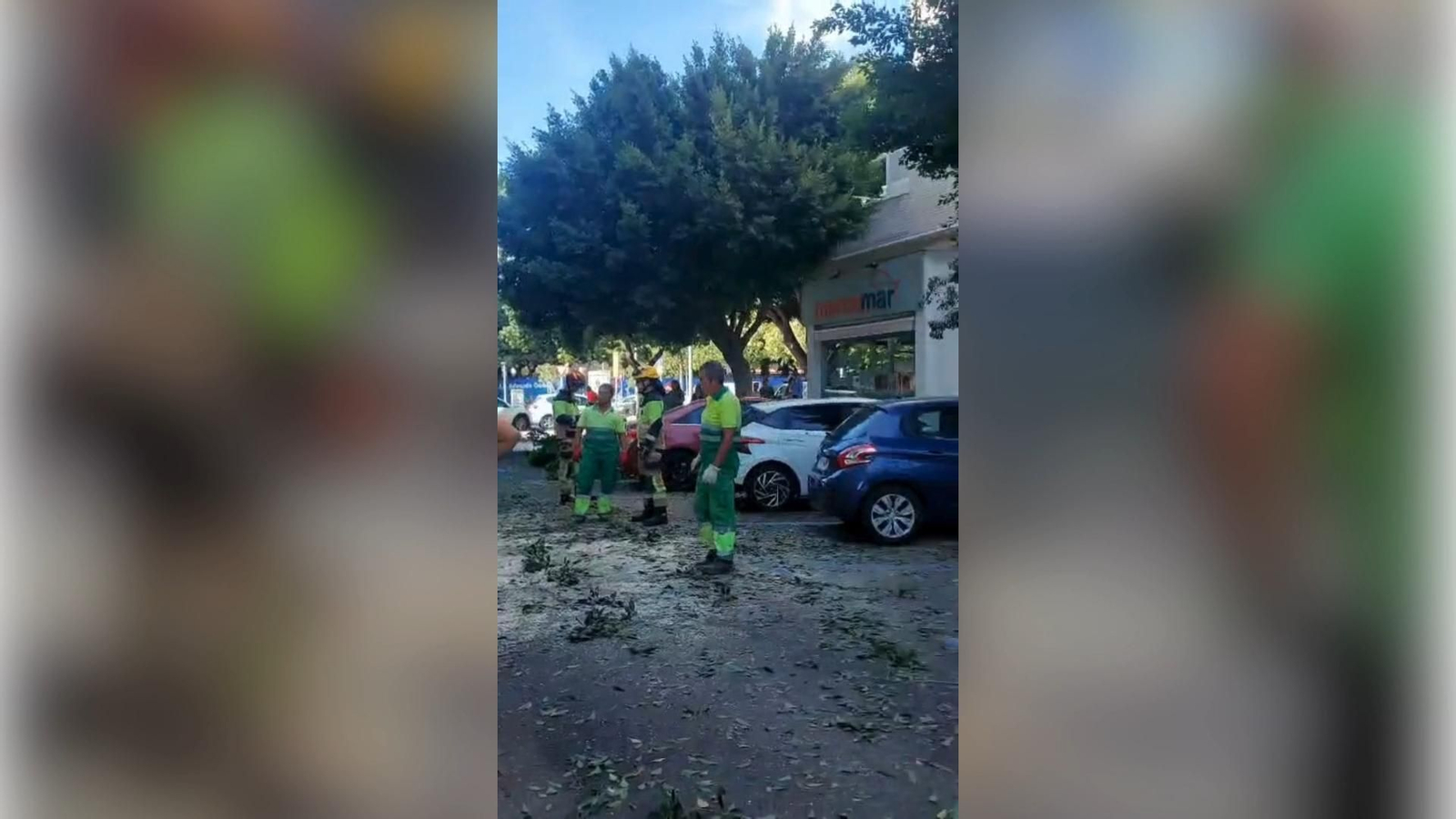 Un arbol cae sobre varios coches en Huelin