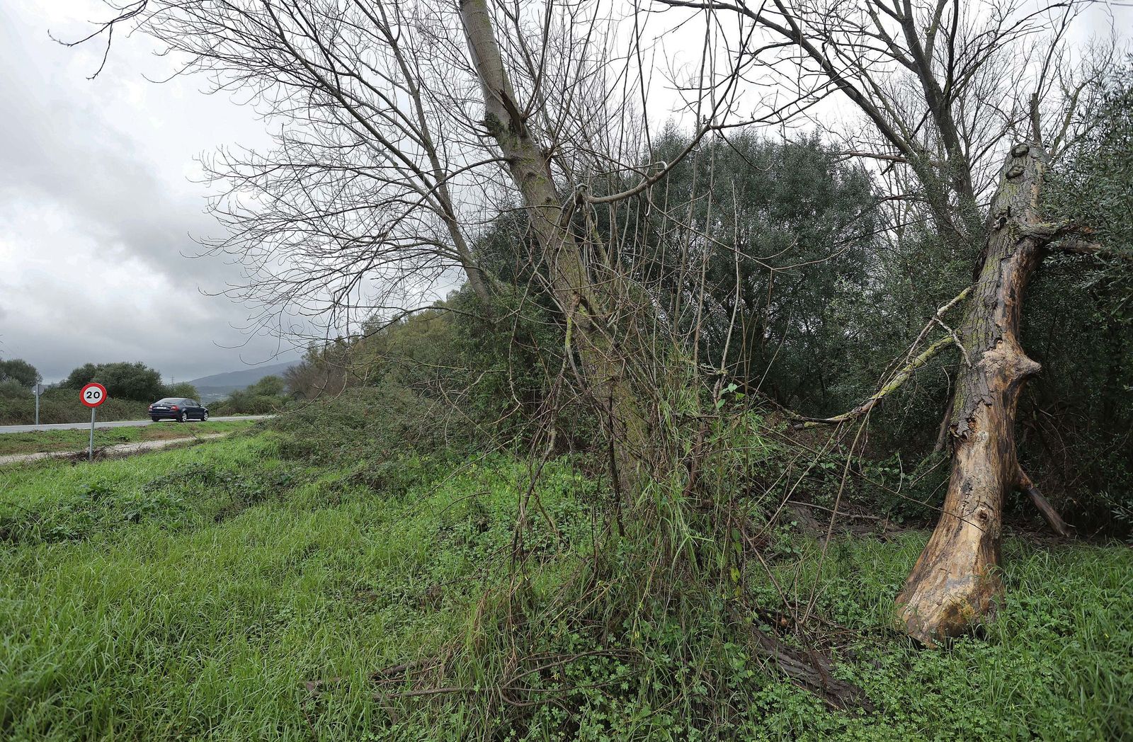 Fotos de los efectos de la borrasca Leonardo en Algeciras