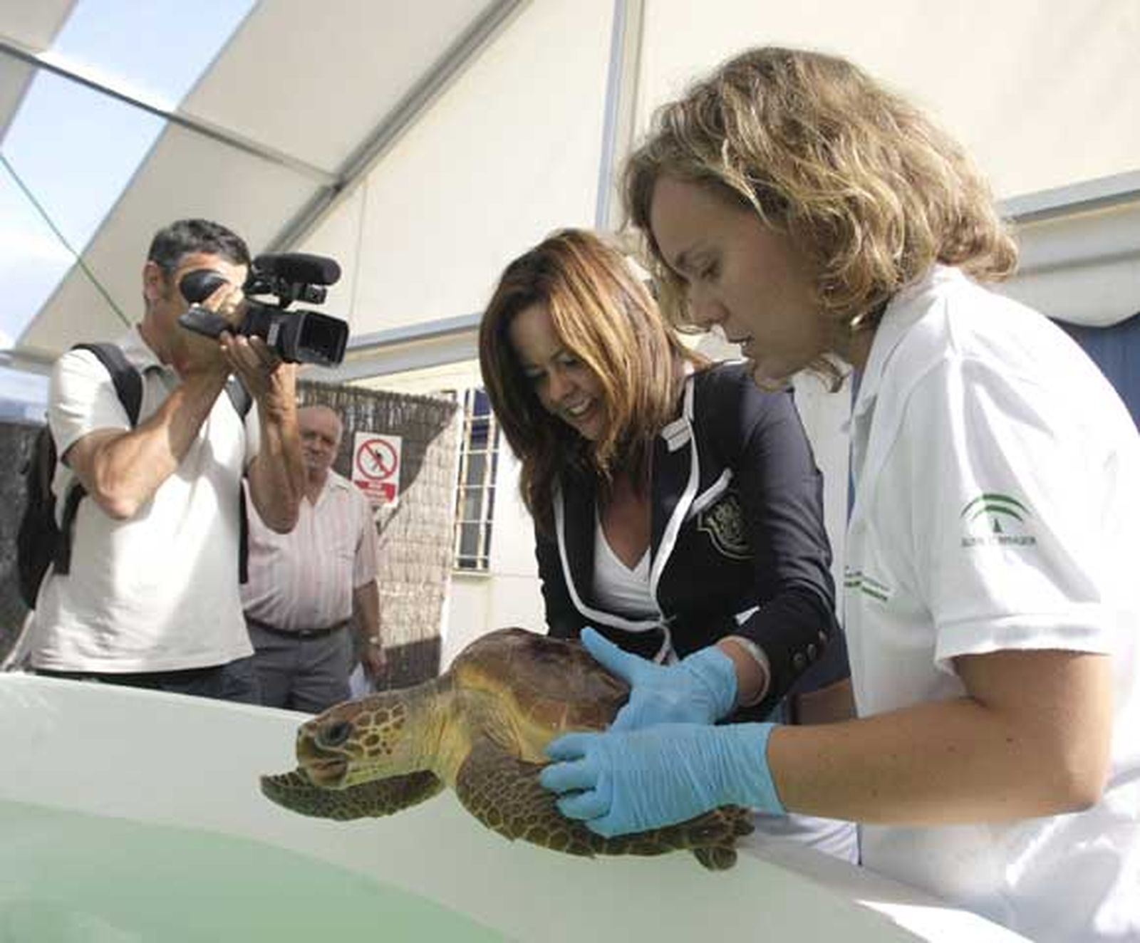 Liberan cinco tortugas bobas del Cegma de Algeciras