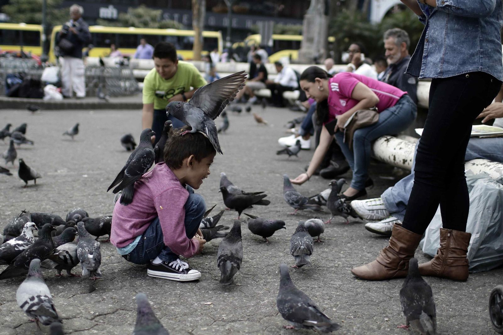Un niño deja que las palomas se posen sobre su cuerpo.