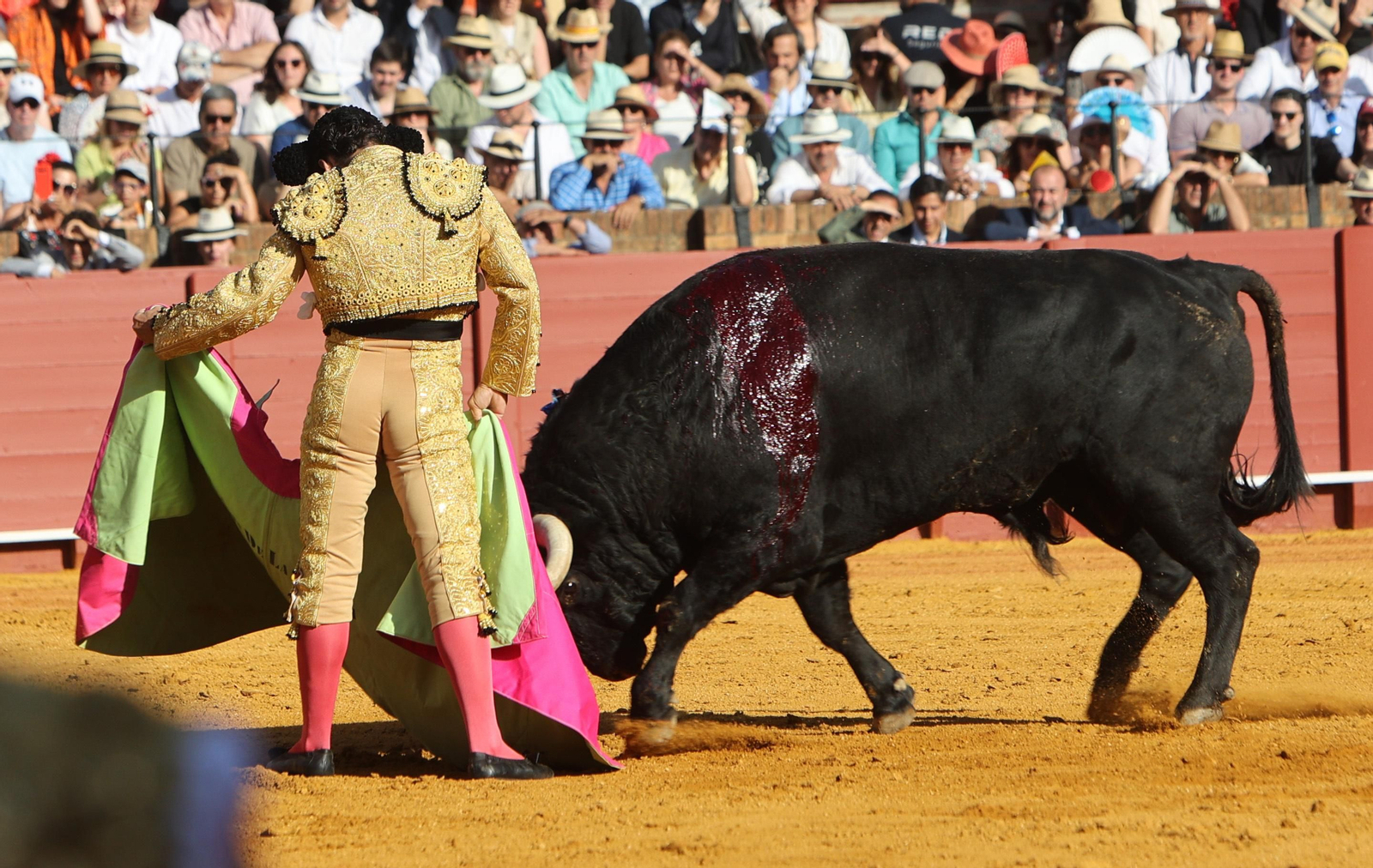 Toros en la Maestranza hoy sábado