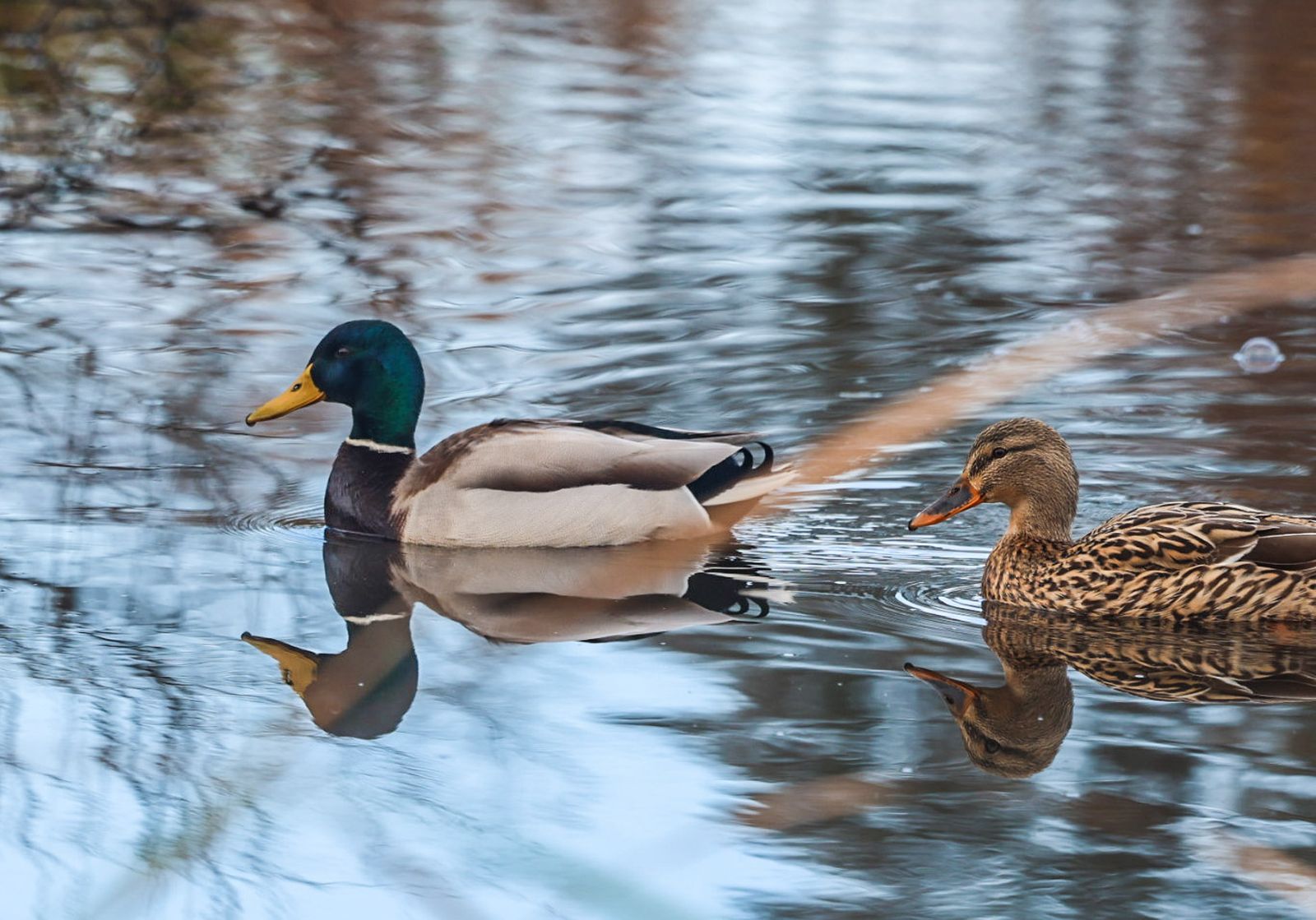 Fotografías de la celebración del Día Mundial de los Humedales