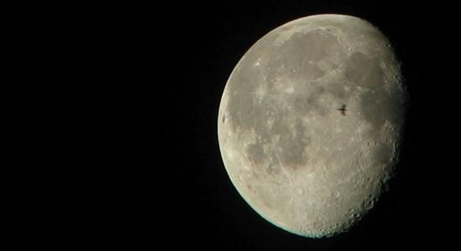 Avistamiento nocturno de aves.
