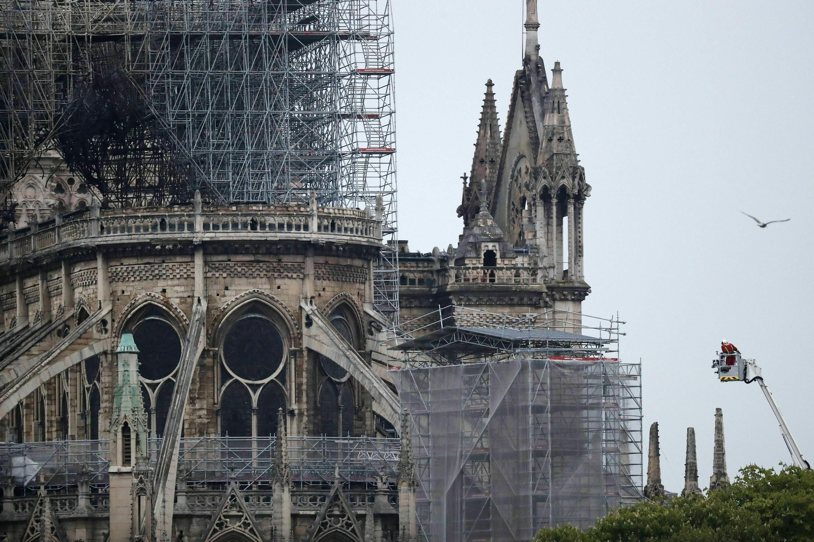 Las imágenes de Notre Dame tras la tragedia
