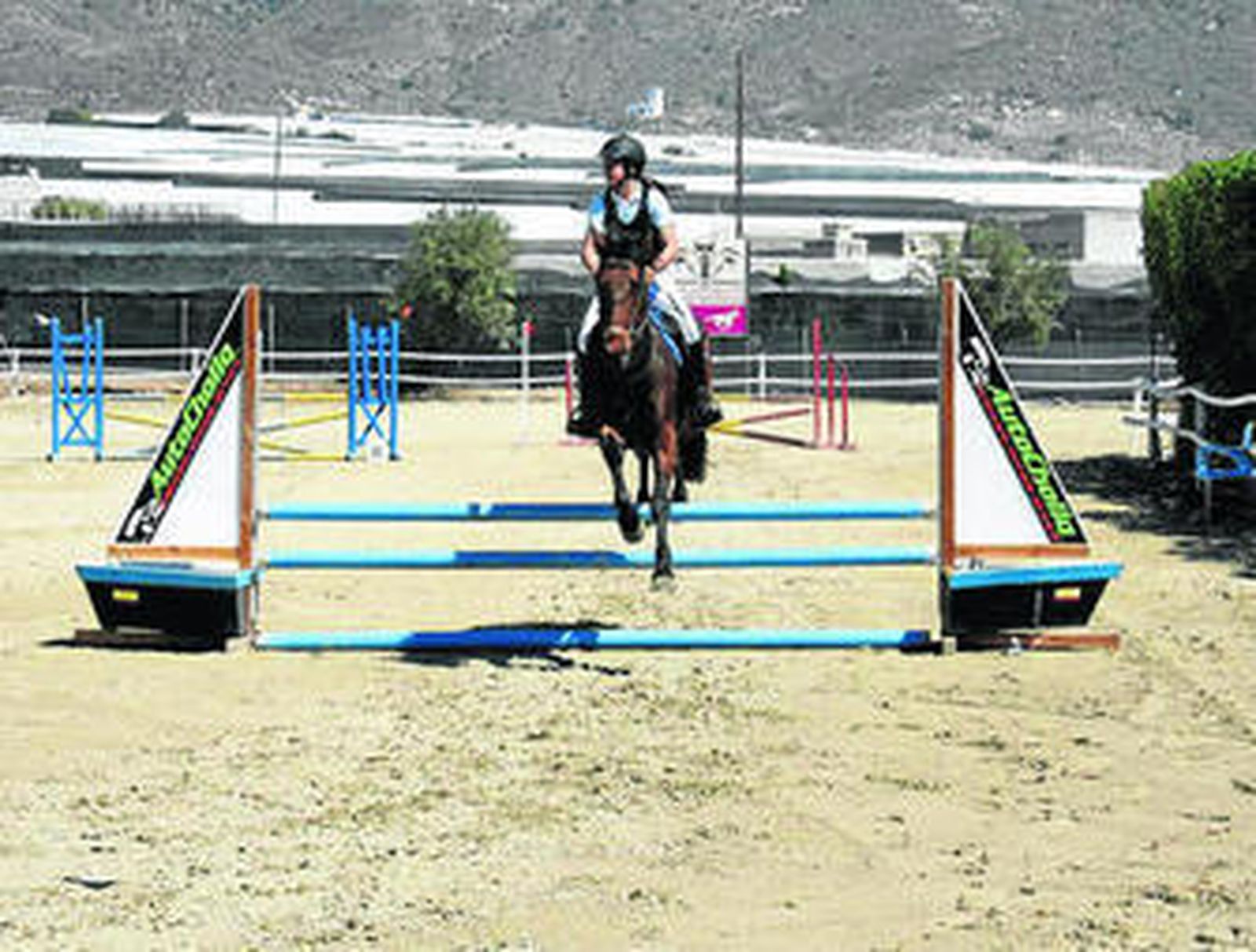 El Club de Hípica copa los primeros puestos en la jornada de la Liga de Saltos
