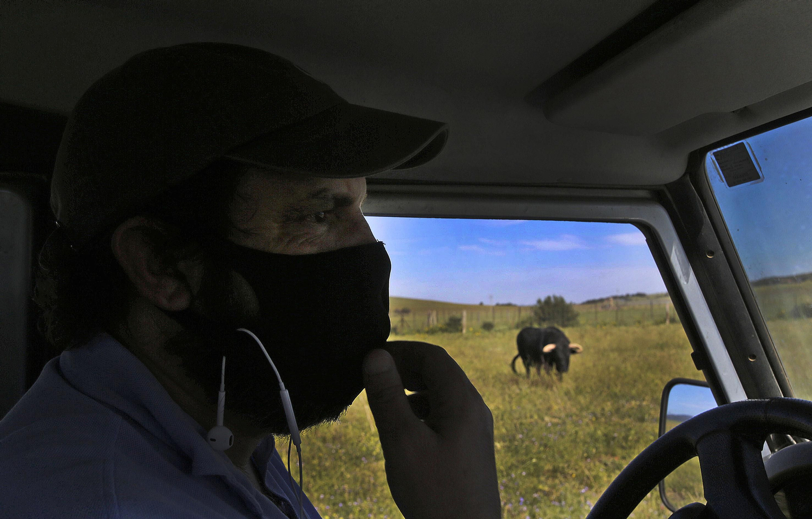 Mas cornadas da el virus, visita a la ganadería de Nuñez La Palmosilla