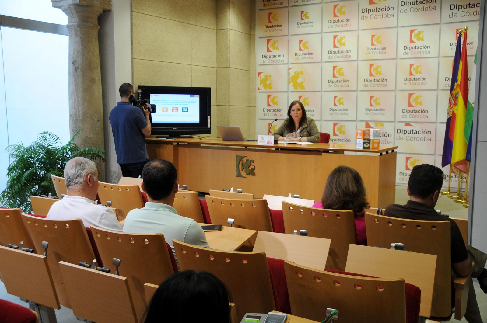 Ana Carrillo, durante su comparecencia este viernes en el palacio de la Merced.