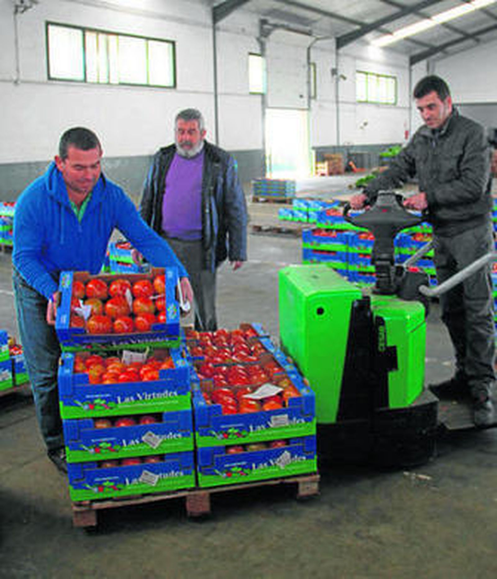 Preparación de las cajas de tomates para el Banco de Alimentos ayer.