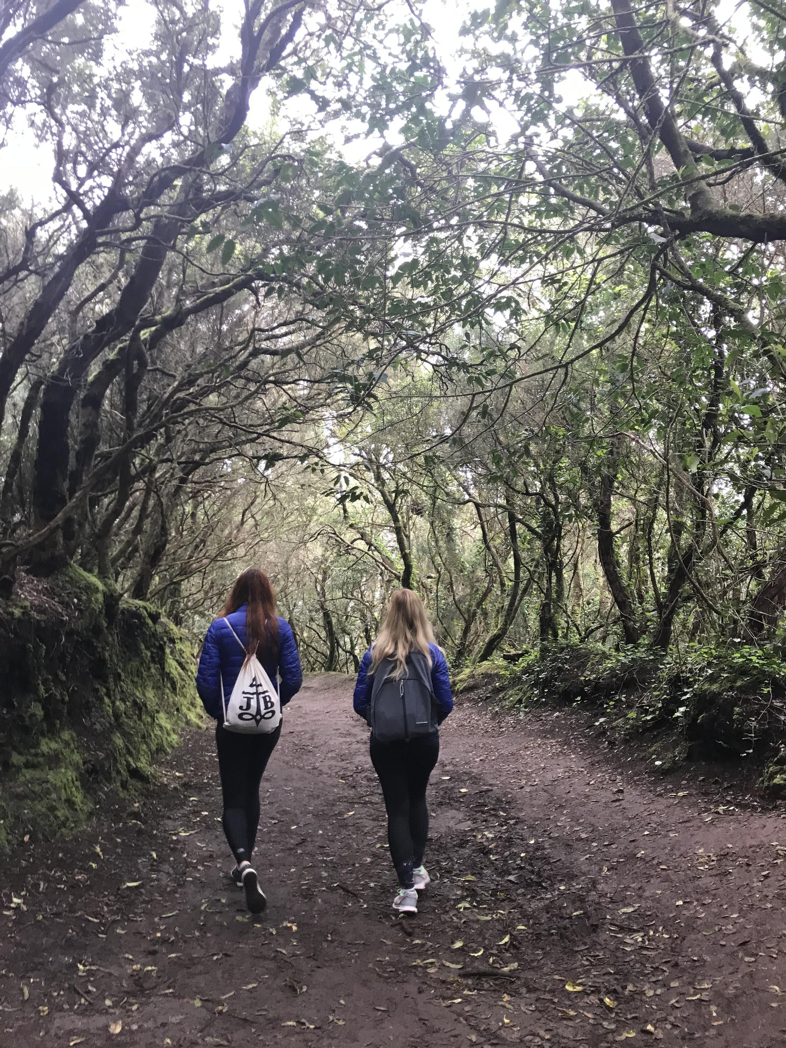 21. El Parque Rural de Anaga es reserva de la Biosfera.