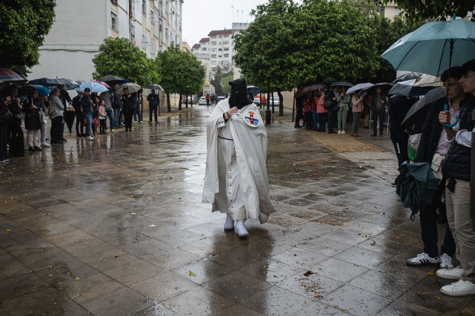 Las imágenes de la Hermandad de San Pablo en la Semana Santa de Sevilla 2024