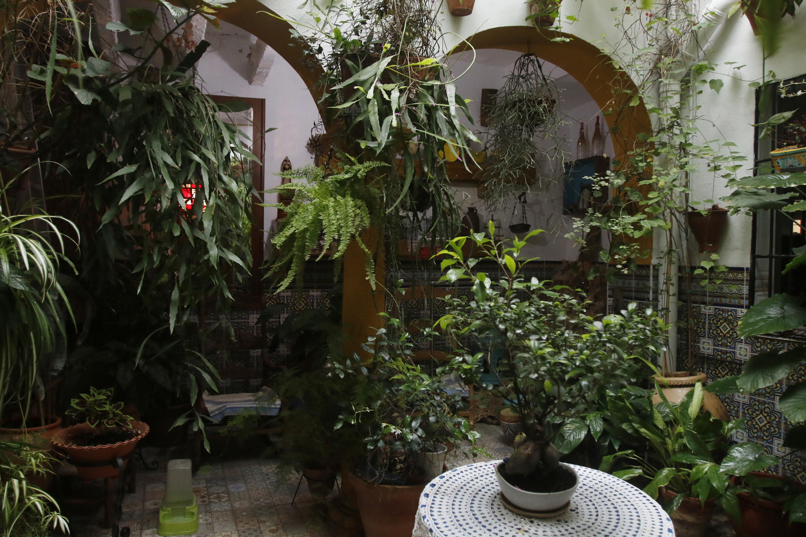 Los Patios de Córdoba en tiempos de crisis: Alfonso XII, 29