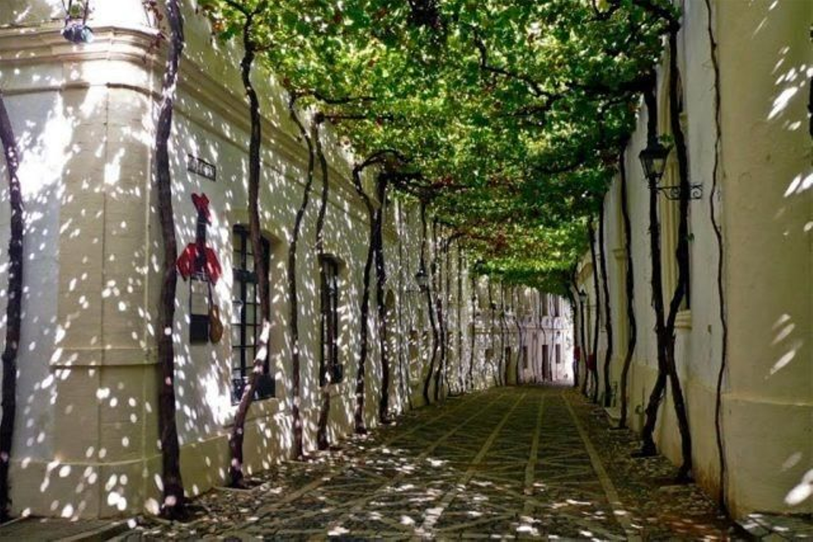 Calle Ciegos en la Bodega González-Byass Calle Ciegos en la Bodega González-Byass