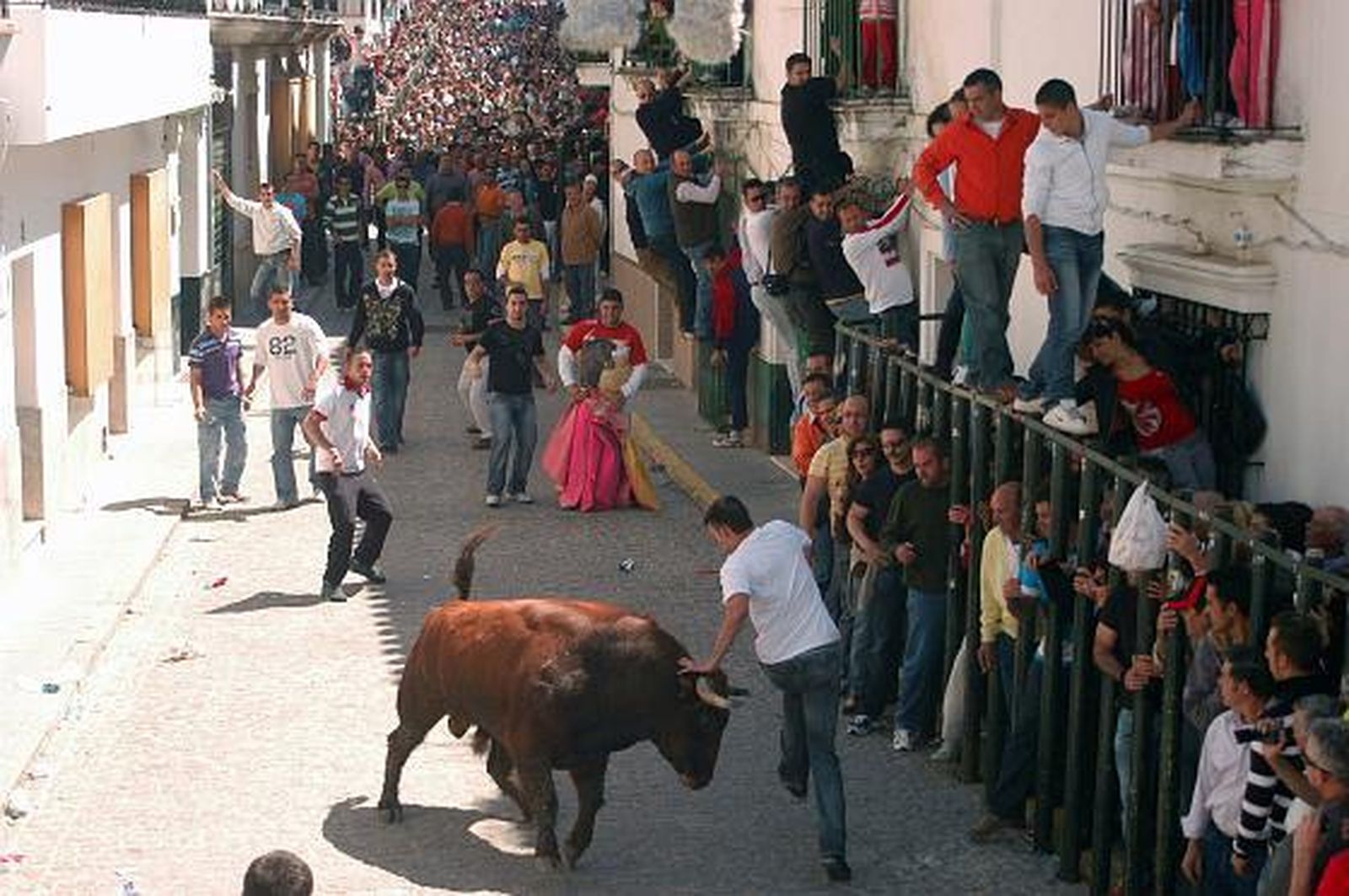 El toro embolao de Vejer, todo un éxito de público.   Foto: Manuel Aragon Pina