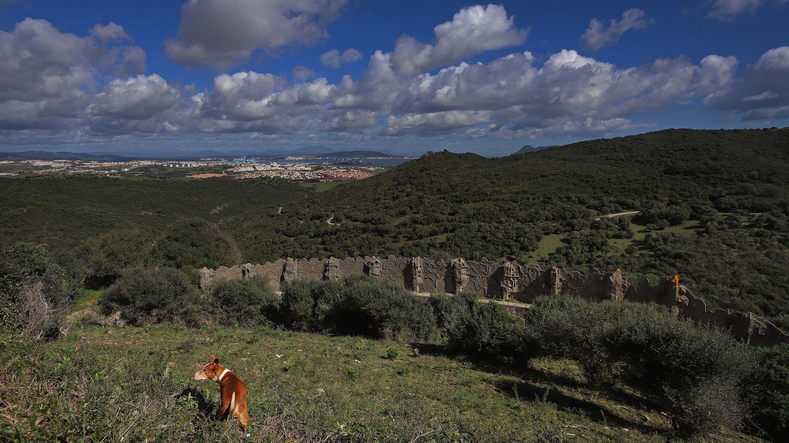 Carretera de Las Pantallas en Algeciras