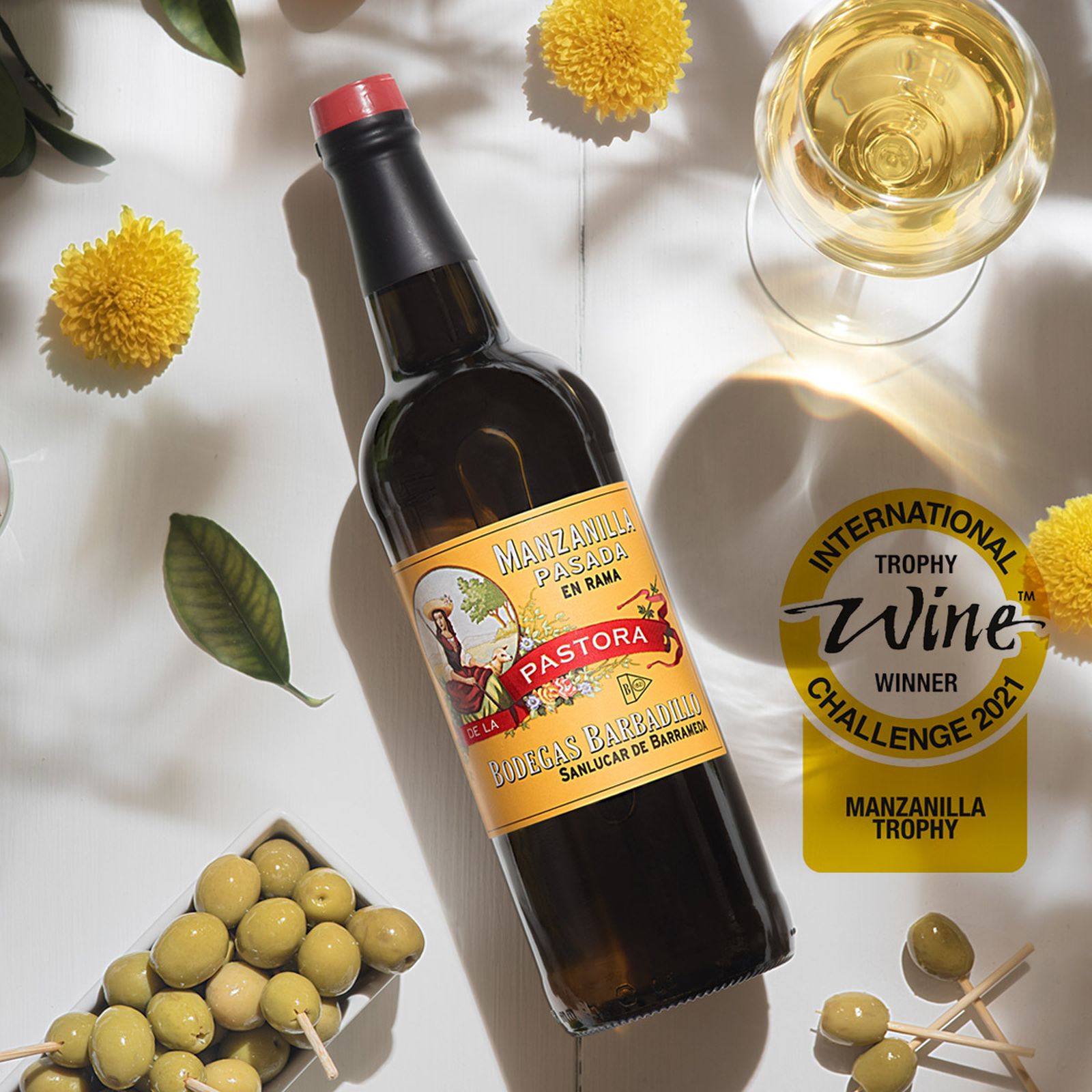 Pastora Winner Manzanilla Trophy.