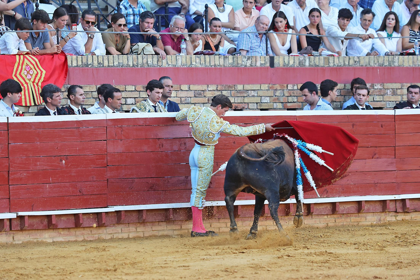 Toros La Merced 2024 Novillada con picadores(