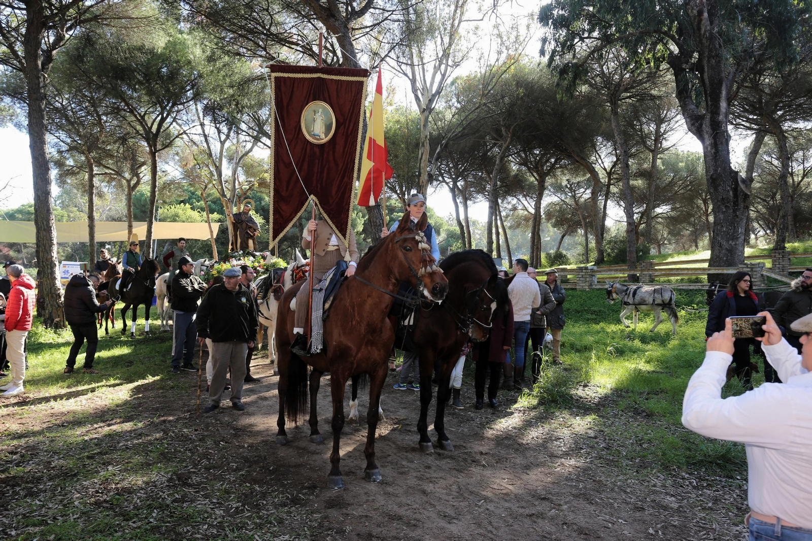 Una imagen tradicional de la romería, con caballistas por el pinar de San Antón.