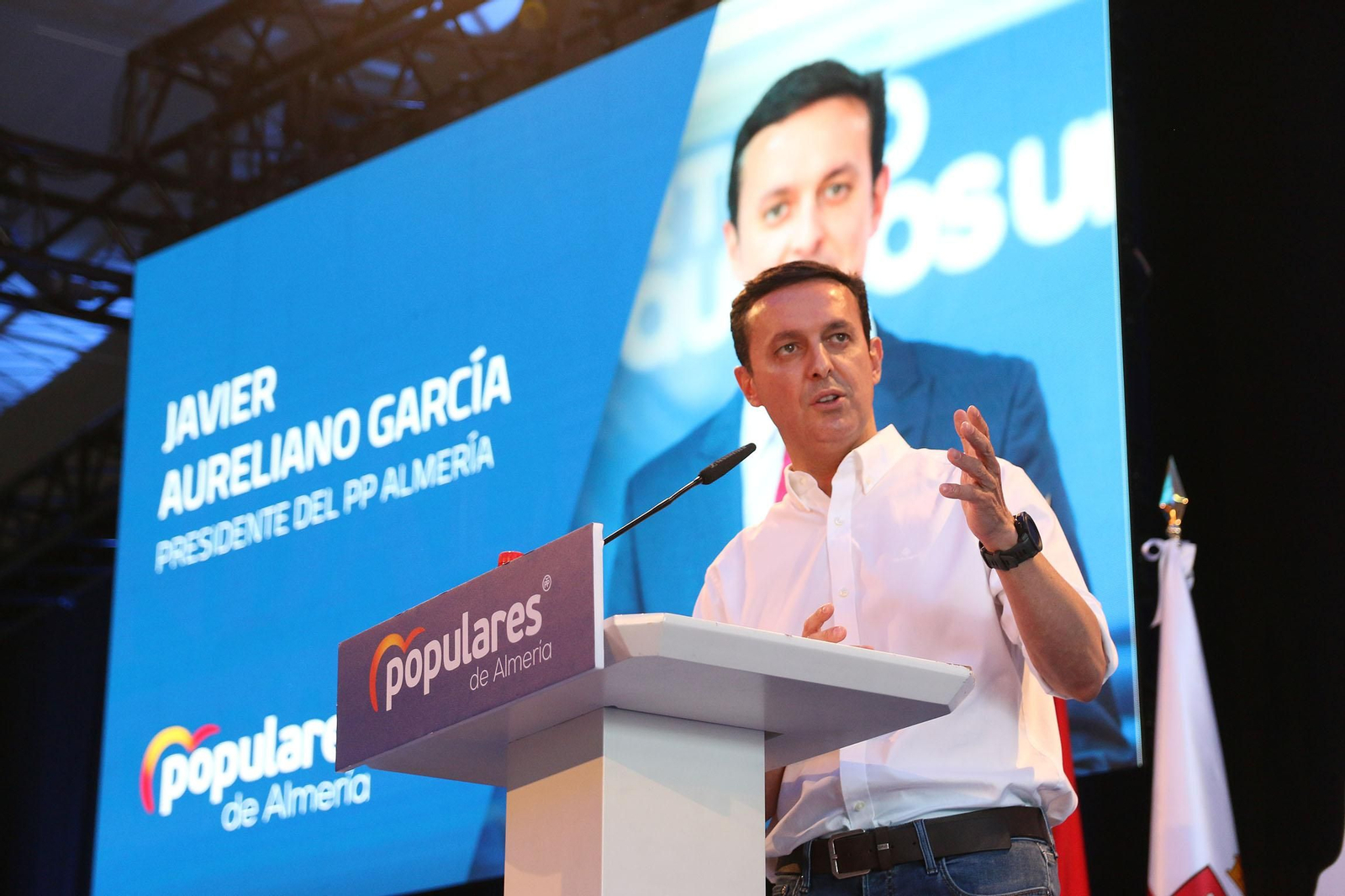 El presidente de Diputación de Almería, Javier Aureliano García.