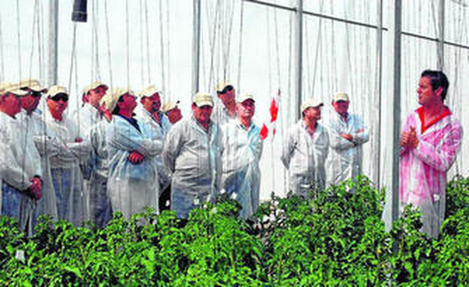 La Estación Experimental de la Fundación Cajamar recibió recientemente una visita de México.