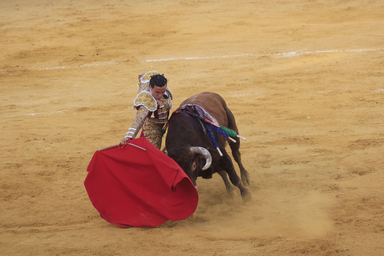 Fotos de la corrida de toros de la Feria de San Roque con David Galván, Román y Joaquín Galdós