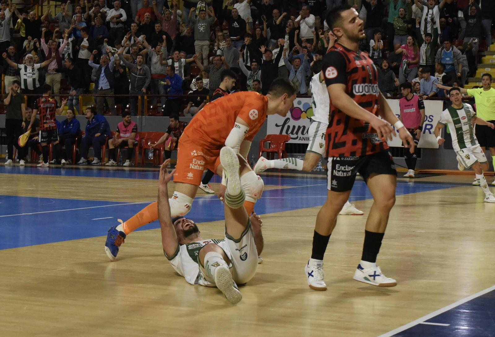 Las mejores fotos del ambiente en Vista Alegre para el Córdoba Futsal - AD Sala 10 Zaragoza