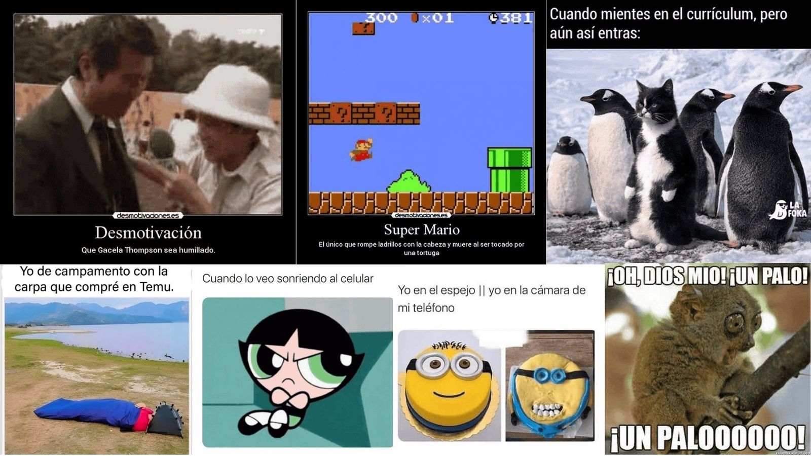 Conjunto de memes, del año 2004 al 2026