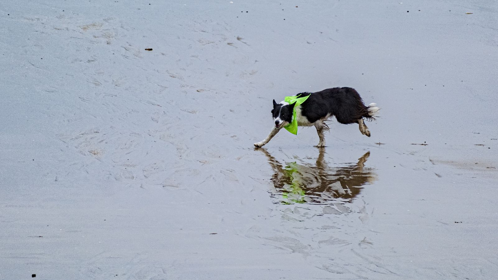 Búscate entre las fotos de la X carrera Cádiz en marcha contra el cáncer